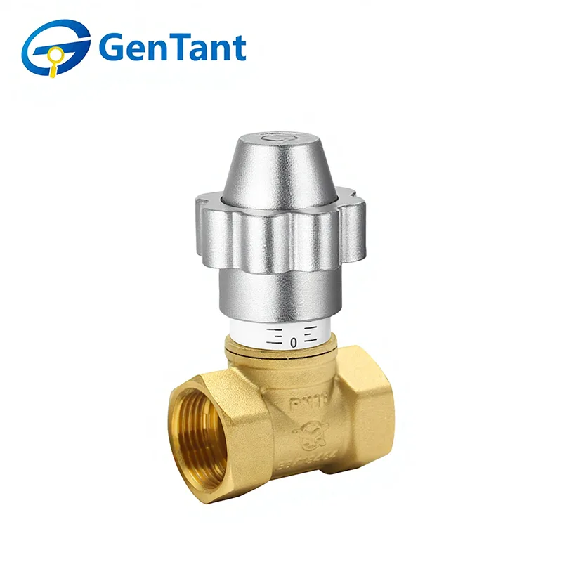 磁気ロック可能な流量制御グローブバルブ