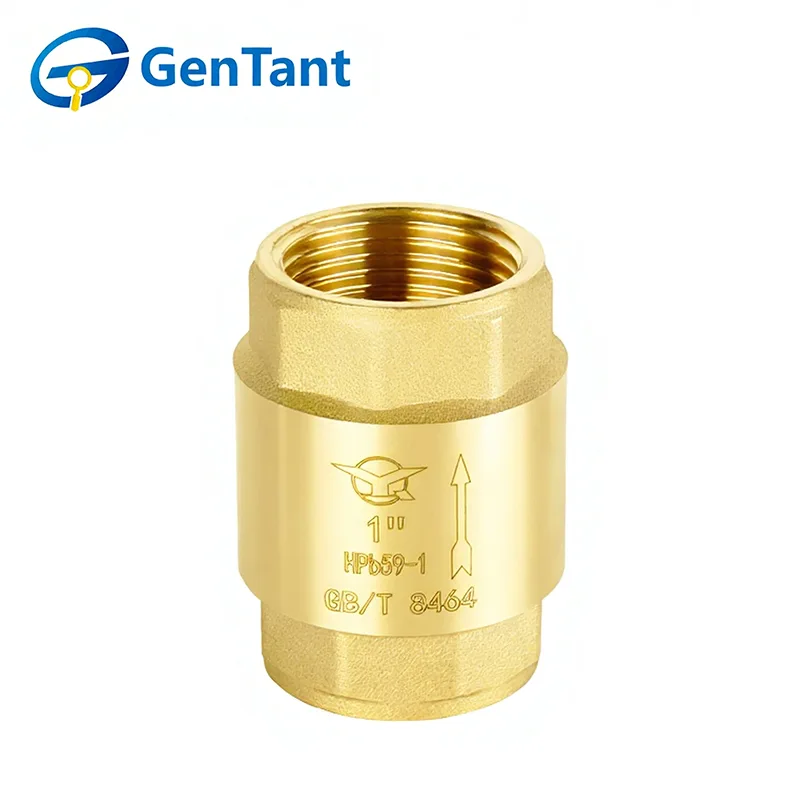 スプリングチェックバルブ